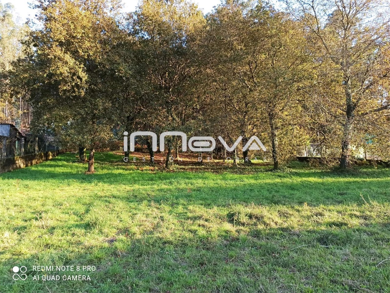 Foto 3 Dos Fincas entre Mogor y Seixo (Parcela A y Parcela B)